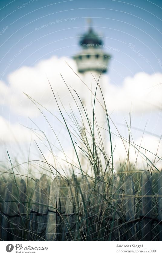 Egmond Ferien & Urlaub & Reisen Sommerurlaub Leuchtturm Umwelt Natur Landschaft Himmel Wolken Schönes Wetter Gras Dünengras Küste Egmond aan Zee Niederlande