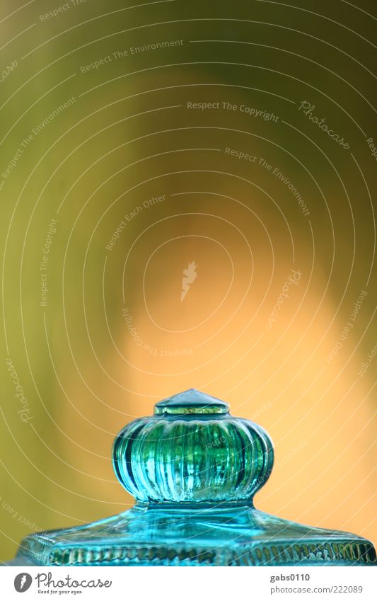 Glasnippel Griff durchsichtig aufbewahren Glasbehälter türkis blau grün gelb Häusliches Leben Dekoration & Verzierung Textfreiraum oben Textfreiraum Mitte