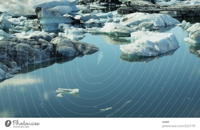Eis für Pontchen Umwelt Natur Landschaft Wasser Klima Klimawandel Schönes Wetter Gletscher Gebirgssee Gletschereis Gletscherschmelze außergewöhnlich fantastisch