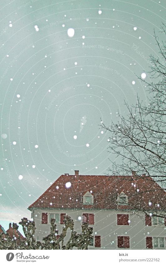 Leise rieselt der Schnee II Winter Klima Schneefall Baum Haus Einfamilienhaus Fassade Fenster Dach kalt Surrealismus Tradition Heimat Kitsch Winterstimmung