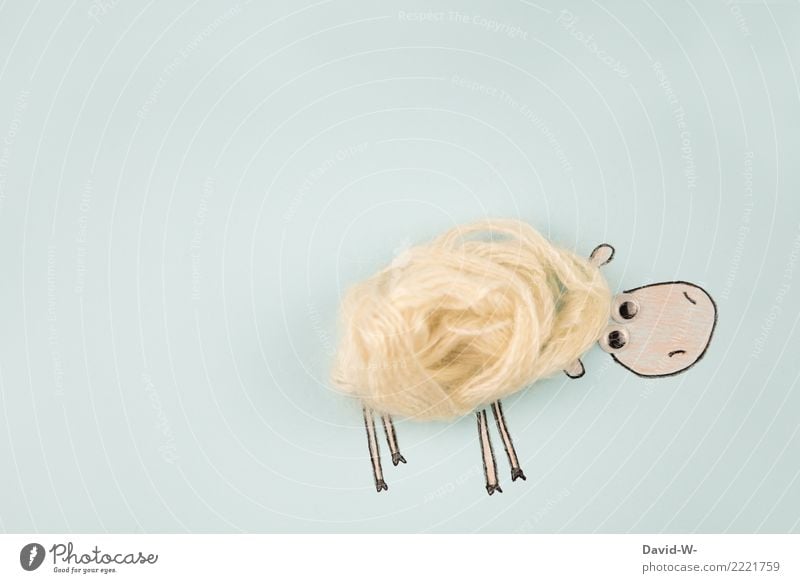 Schafwolle elegant Stil sparen Basteln Kunst Künstler Kunstwerk Umwelt Natur Tier Nutztier Fell 1 beobachten Wolle Kreativität niedlich außergewöhnlich