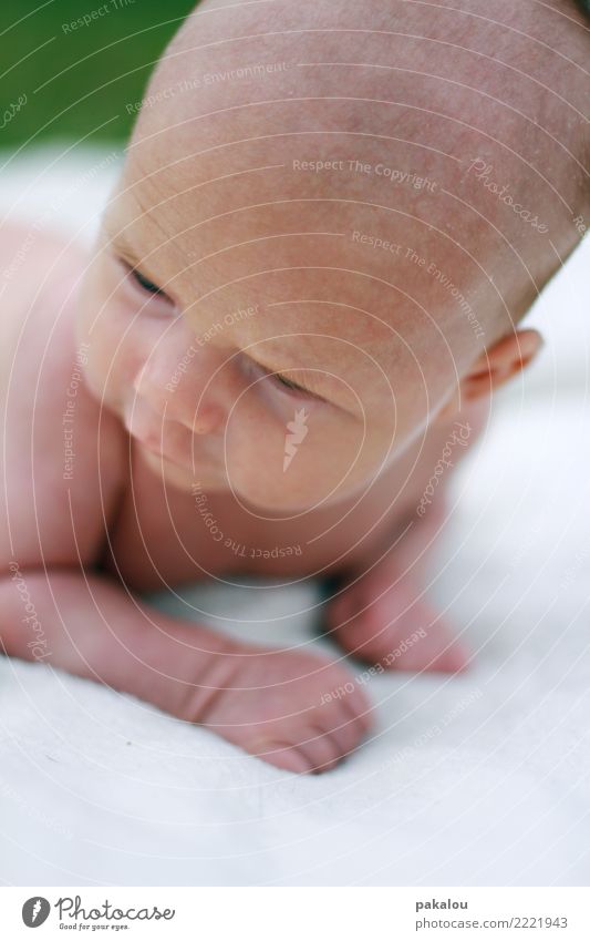 der süße Kopf von Rudie Mensch Kind Baby Kindheit Haut 1 0-12 Monate Natur Sommer klein nah nackt Sauberkeit Menschlichkeit unschuldig neugeboren Müdigkeit