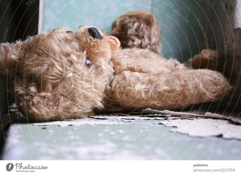 vergessener Freund Spielzeug Teddybär liegen Traurigkeit verblüht alt dunkel gruselig nah retro blau braun Vertrauen Sorge Trauer Tod Schmerz Sehnsucht
