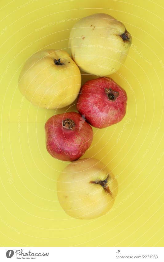 Quitten und Granatäpfel Lebensmittel Frucht Ernährung Bioprodukte Vegetarische Ernährung Diät Fasten Lifestyle Stil Design exotisch Gesundheitswesen