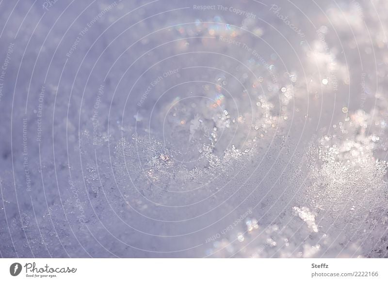 Glitzerschnee Schnee Eiskristalle Schneeflocken Schneedecke Frost schneebedeckt frieren Winterkälte winterliche Ruhe Kälte winterliche Stimmung
