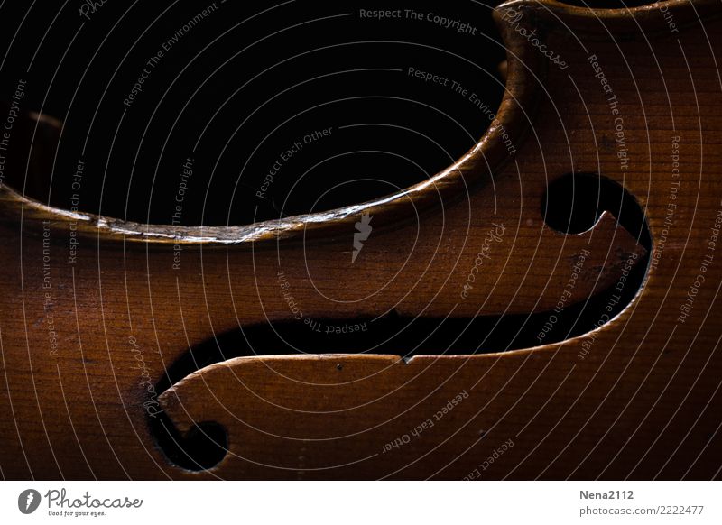 Geige 01 Kunst Musik Musik hören Konzert Open Air Bühne Oper Band Musiker Orchester Cello Streichinstrumente Saiteninstrumente Musikinstrument Holz nobel Loch