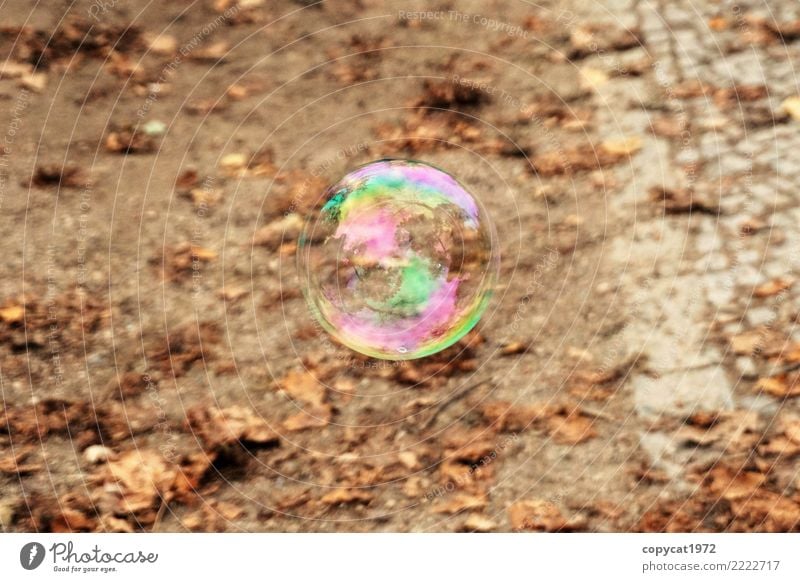 Seifenblase im Herbst Natur Erde Laub rund mehrfarbig Stimmung Sehnsucht träumen Vergänglichkeit Blase Bubble Farbfoto Außenaufnahme Detailaufnahme Menschenleer