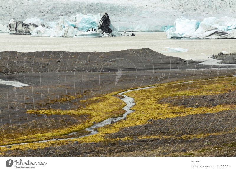Ursprung Ferne Umwelt Natur Landschaft Erde Wasser Klima Klimawandel Gletscher Küste Seeufer Gletschereis Gletscherschmelze Gebirgssee authentisch