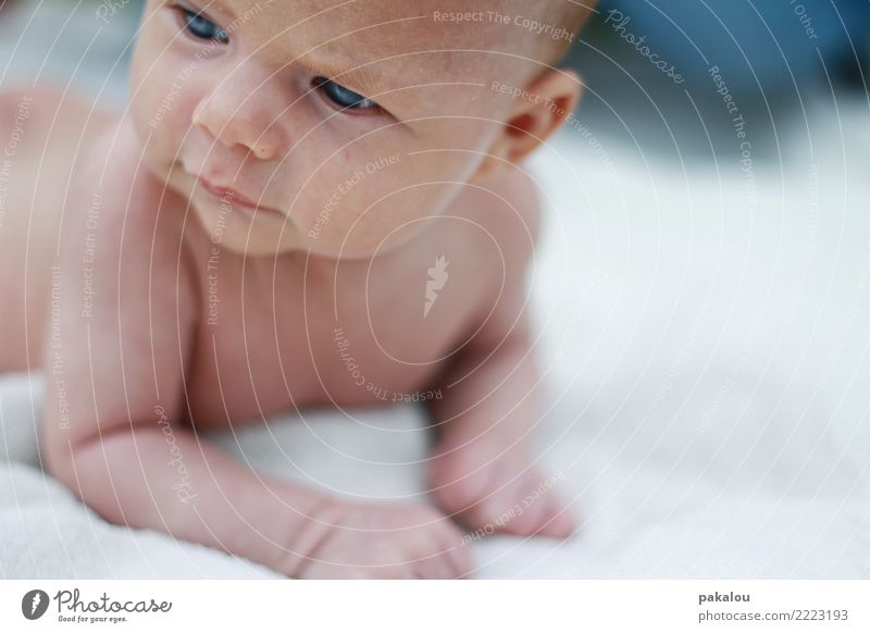 guten Morgen süsser Mensch Baby Kindheit Haut Gesicht 1 0-12 Monate Natur frisch Gesundheit schön Sauberkeit Gefühle Frühlingsgefühle Leben neugeboren