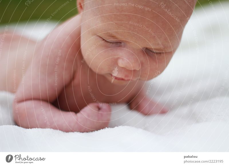 Good Morning Babe Baby Körper 1 Mensch 0-12 Monate liegen frisch Gesundheit klein Vertrauen Verantwortung Glück Schutz neugeboren Wolldecke nackt unschuldig