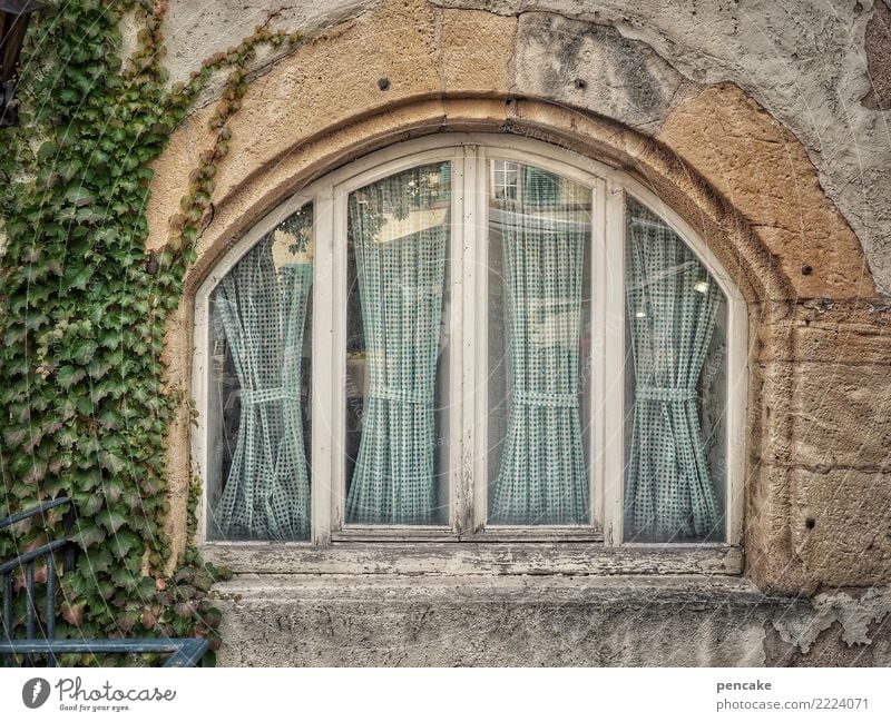 schwungvoll | bauen Altstadt Haus Fassade Fenster alt historisch Bogen Efeu Elsass Farbfoto Außenaufnahme Strukturen & Formen Menschenleer
