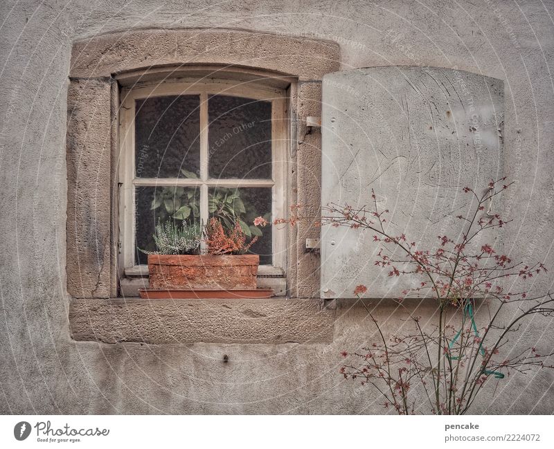 verlassen | time to say goodbye Altstadt Haus Fenster alt einzigartig retro trist trocken Stadt Verschwiegenheit Traurigkeit Müdigkeit Einsamkeit Erschöpfung