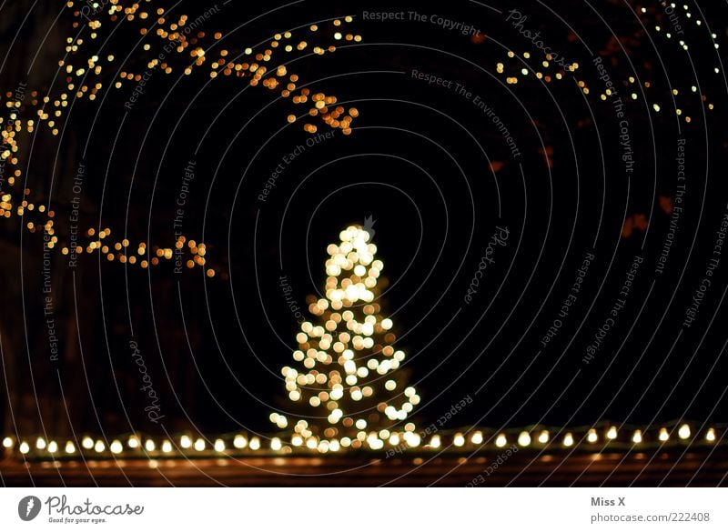 Ulmer Weihnachtsmarkt leuchten Weihnachtsbaum Lichterkette Farbfoto Außenaufnahme Menschenleer Nacht Kunstlicht Unschärfe Dekoration & Verzierung dunkel