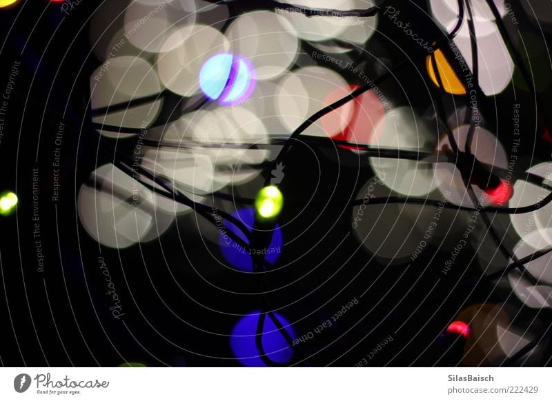 Lichtspiel Dekoration & Verzierung Lichterkette Lichterscheinung leuchten verrückt Farbfoto Experiment Reflexion & Spiegelung Unschärfe Starke Tiefenschärfe