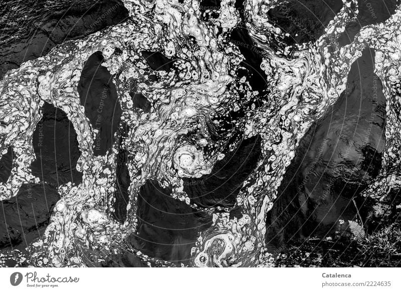 kreativ | Schaum auf dunklem Flußwasser Fluss glänzend außergewöhnlich bedrohlich frisch kalt schwarz weiß Stimmung Natur Umwelt Außenaufnahme Muster