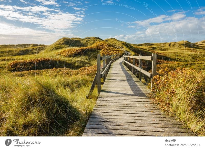 Landschaft in den Dünen auf der Insel Amrum Erholung Ferien & Urlaub & Reisen Tourismus Natur Wolken Herbst Küste Nordsee Brücke Wege & Pfade blau Umwelt