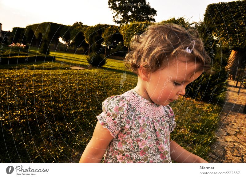 KLARA Kleinkind Mädchen Kindheit Leben Kopf Gesicht 1 Mensch 1-3 Jahre Landschaft Sommer Schönes Wetter Garten Park Wiese Kleid laufen Spielen frei Fröhlichkeit