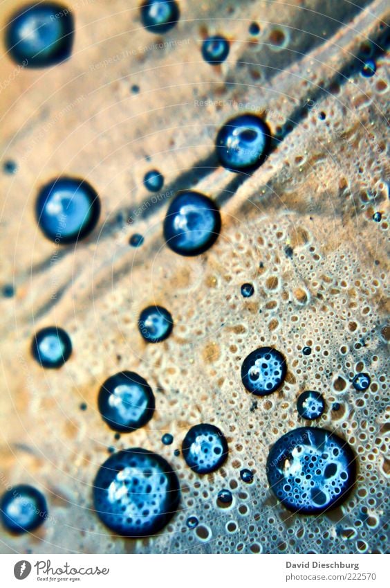 Blue pearls III Wasser Wassertropfen Regen blau gold hell-blau nass feucht Tau Tropfen Abdeckung Strukturen & Formen Oberfläche wasserdicht Wetterschutz