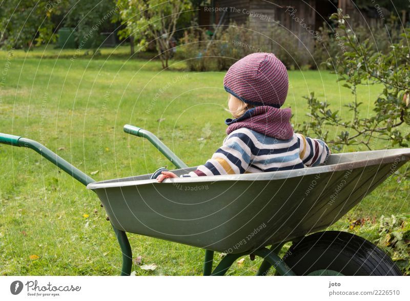 einfach nur sitzen Freude Zufriedenheit Freizeit & Hobby Kinderspiel Garten Gartenarbeit Kleinkind 1-3 Jahre Herbst Wiese Pullover Mütze beobachten genießen