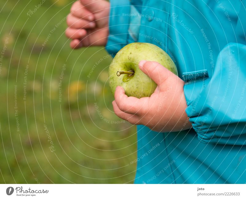 grün Apfel Bioprodukte Freude Gesundheit Gesunde Ernährung Zufriedenheit Ausflug Freiheit Garten Erntedankfest Kind lernen Kleinkind 1-3 Jahre Herbst Wiese