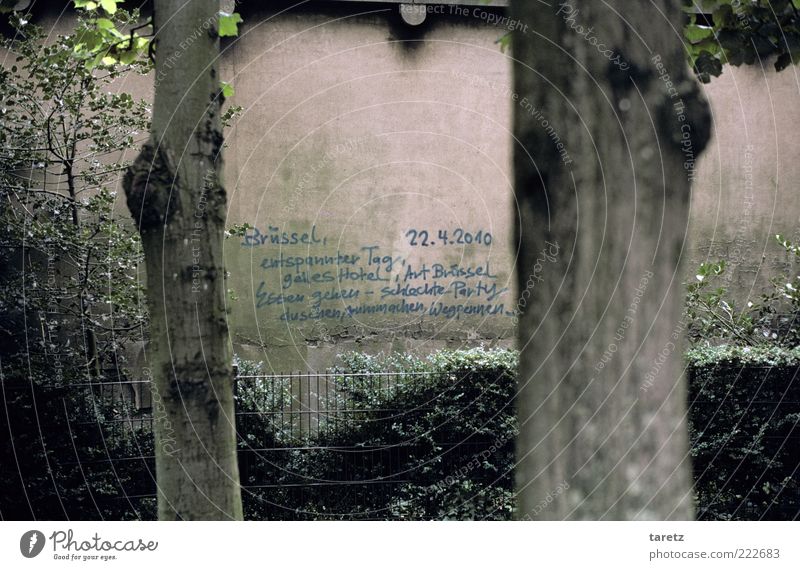 duschen, rummachen, wegpennen,... Park Brüssel Belgien authentisch Graffiti Ehrlichkeit Ausflug Baum Mitteilung Langeweile Priorität beobachten Ferne Erinnerung