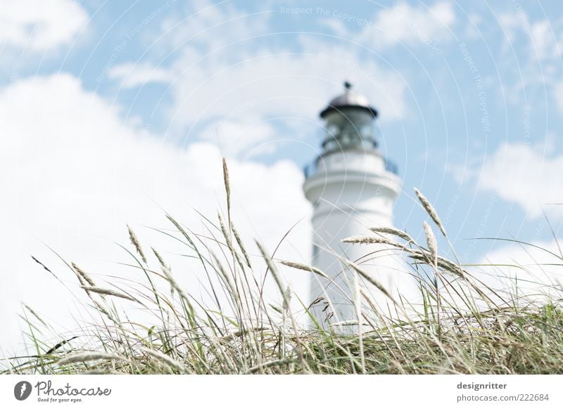Gras über die Sache Ferien & Urlaub & Reisen Tourismus Ausflug Sightseeing Himmel Wolken Sommer Klima Schönes Wetter Pflanze Dünengras Nordsee Stranddüne Turm