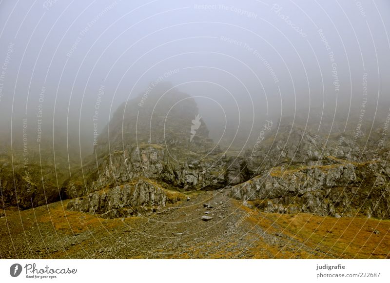 Island Umwelt Natur Landschaft Erde Klima Nebel Felsen Berge u. Gebirge Westfjord bedrohlich dunkel kalt natürlich Stimmung Farbfoto Gedeckte Farben
