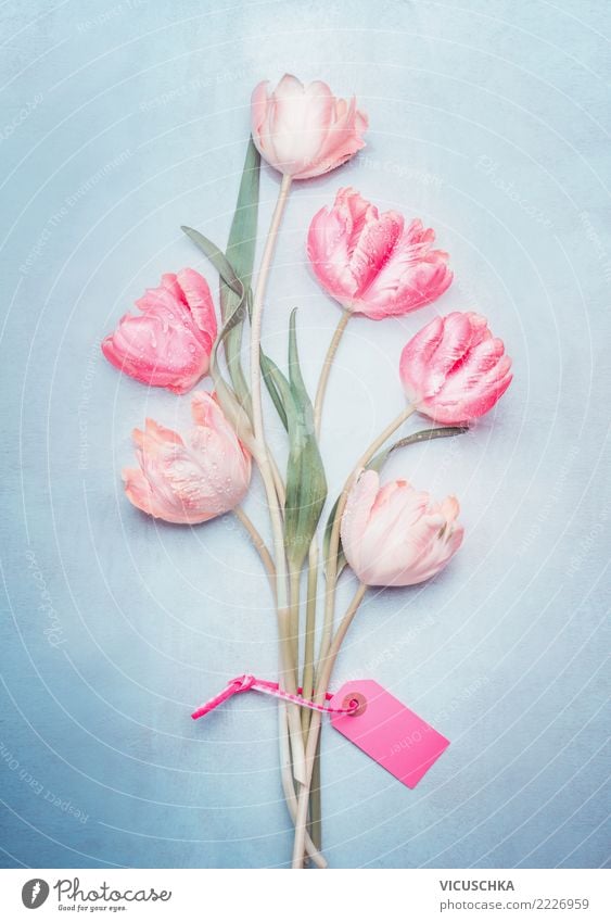 Tulpenbündel mit Grußkarte , Pastellfarbe Stil Design Dekoration & Verzierung Feste & Feiern Valentinstag Muttertag Hochzeit Geburtstag Pflanze Frühling Blume