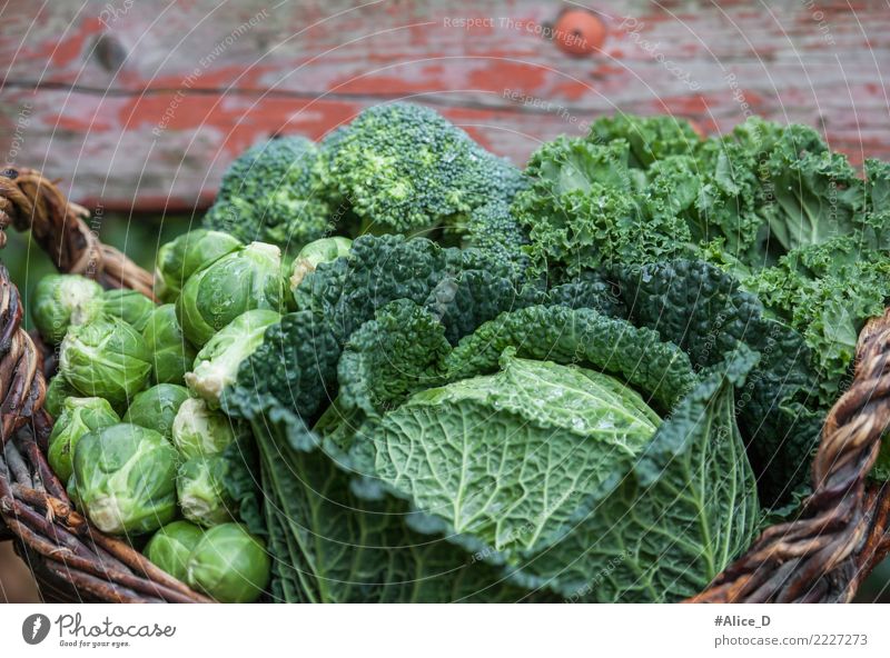 die Gesündesten grün Kohlsorten im Korb Lebensmittel Gemüse Salat Salatbeilage Rosenkohl Wirsing Grünkohl Grünkohlblatt Brokkoli Ernährung Bioprodukte