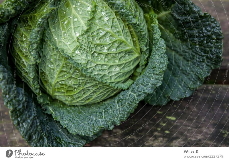 Wirsingkohl Lebensmittel Gemüse Salat Salatbeilage Kohl Ernährung Bioprodukte Vegetarische Ernährung Diät Fasten Lifestyle Gesunde Ernährung Winter Natur