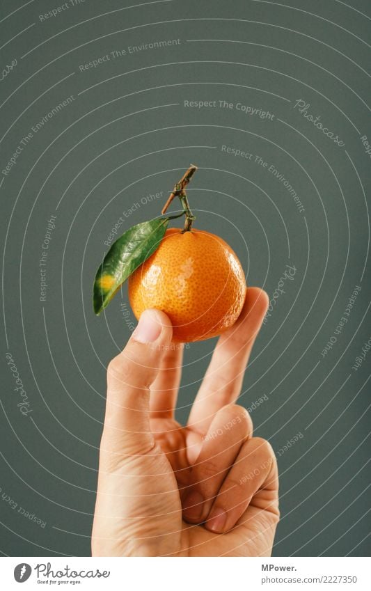 orange Lebensmittel Obstverkäufer Frucht festhalten haltend gepflückt Blatt Vitamin Gesunde Ernährung lecker Bioprodukte Farbfoto Studioaufnahme Menschenleer