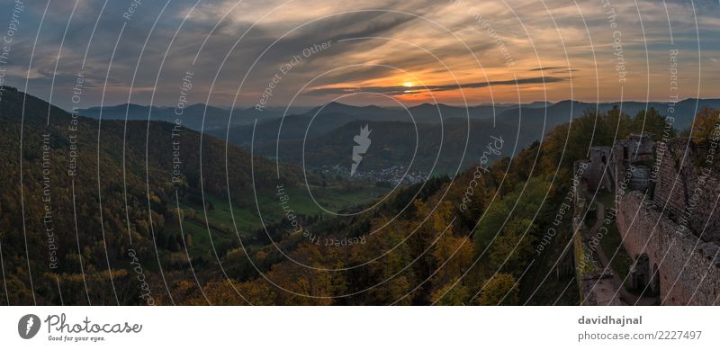Pfälzerwald Tourismus Sightseeing Berge u. Gebirge wandern Natur Landschaft Himmel Wolken Horizont Sonne Sonnenaufgang Sonnenuntergang Herbst Wetter Baum Wald