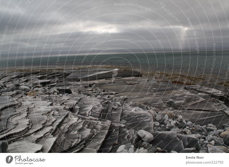Am Ende der Welt Natur Wasser Wolken Fjord Menschenleer frei Farbfoto Außenaufnahme Tag Lichterscheinung Sonnenstrahlen Froschperspektive Norwegen