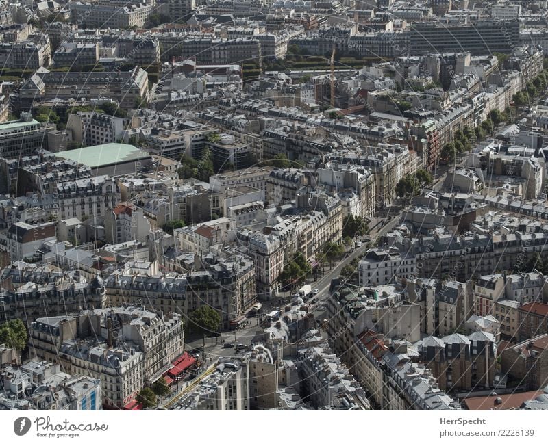Boulevard du Montparnasse Paris Hauptstadt Stadtzentrum Altstadt Haus Gebäude Architektur außergewöhnlich schön grau Überblick Ferne Aussicht Häuserzeile Allee