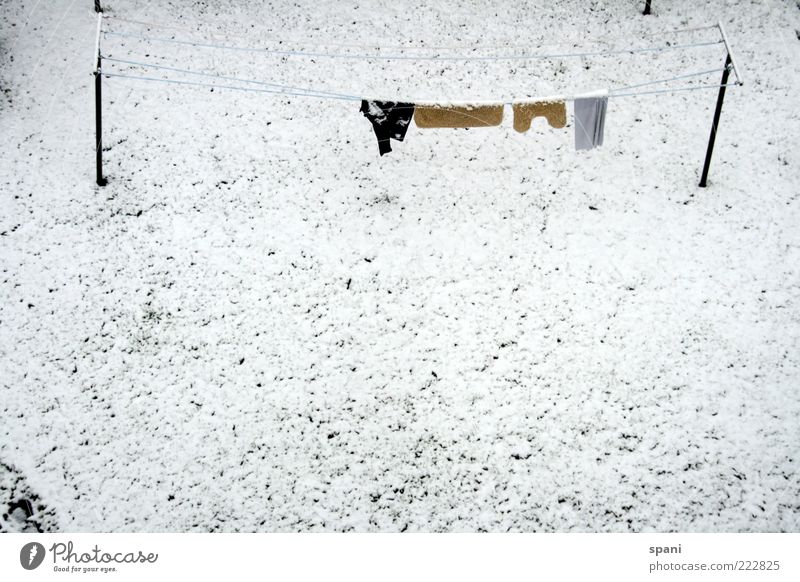 gepflegt abhängen... Winter Schnee Gras Garten Hemd Hose hell weiß stagnierend Wäscheleine vergessen Farbfoto Außenaufnahme Textfreiraum links