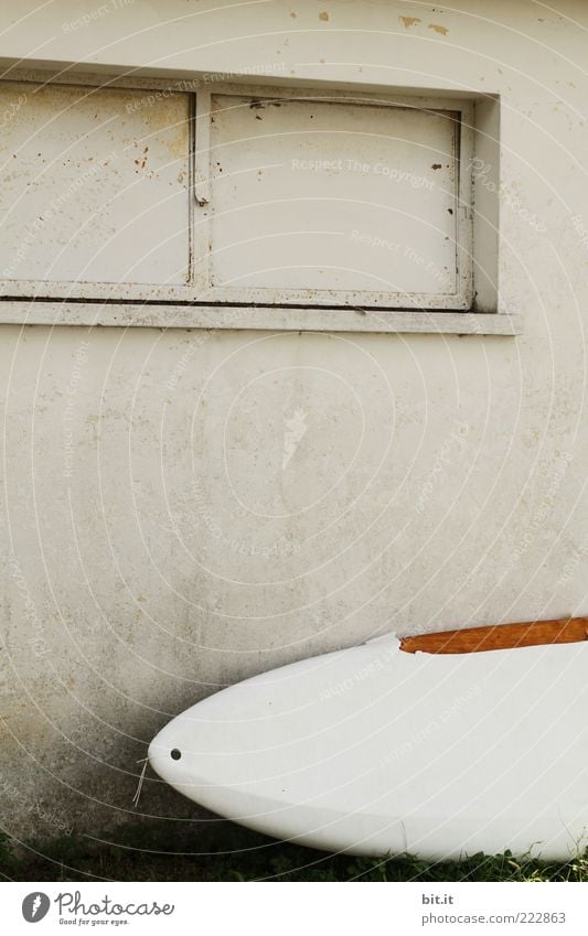 WINTERPAUSE liegen grau weiß Haus Wand Fenster Surfbrett trocknen Pause Scheune Liegeplatz Sommer Sommerurlaub Sommerferien Hütte Fassade ruhig Farbfoto