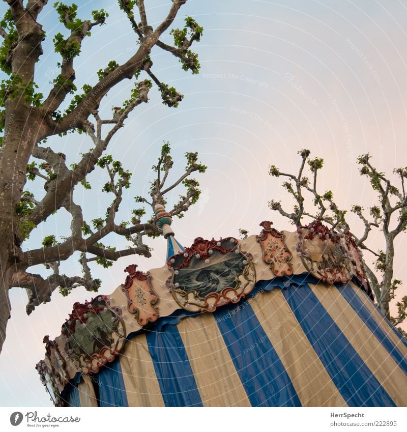 Unter Platanen Feste & Feiern Jahrmarkt Baum blau braun Karussell Ast geschlossen Abdeckung Farbfoto Gedeckte Farben Außenaufnahme Textfreiraum rechts