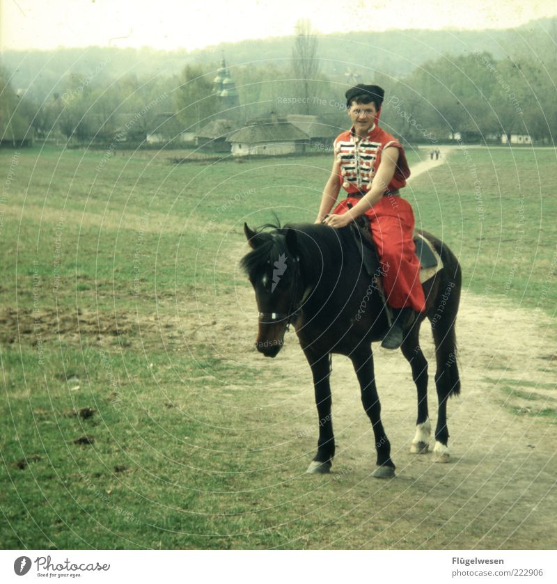 Irgendwo in Rußland Lifestyle Ausflug Häusliches Leben Sport Reitsport maskulin 1 Mensch Jagd kämpfen friedlich träumen Hoffnung Horizont Pferd Pferdezucht