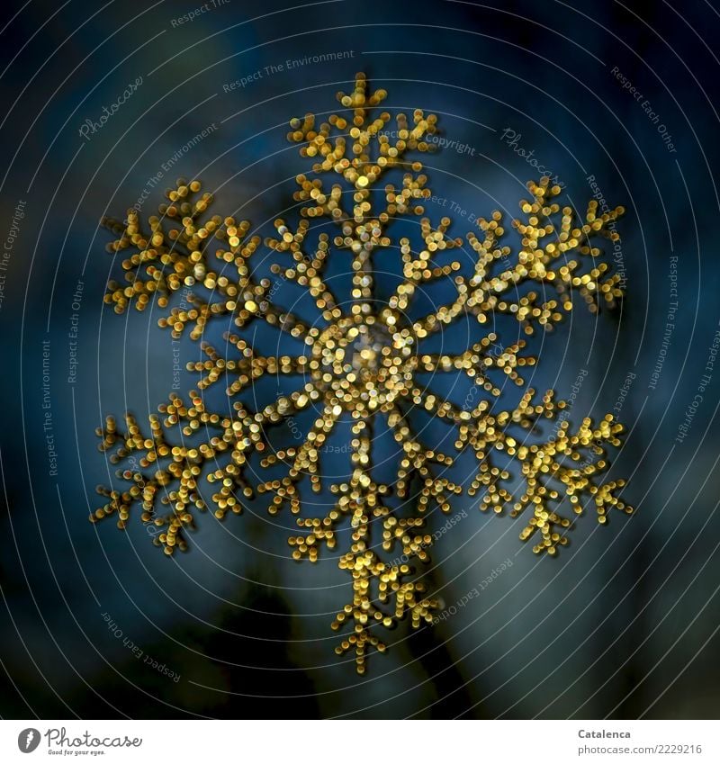 Eisstern Weihnachten & Advent Himmel Winter Schönes Wetter Frost Eiskristall Dekoration & Verzierung Kunststoff Ornament glänzend hängen ästhetisch schön blau