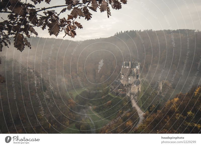 Burg Eltz umgeben von Nebel & Wald im Herbst wandern Natur Landschaft Wolken Wind Berge u. Gebirge Deutschland Burg oder Schloss dunkel gruselig kalt