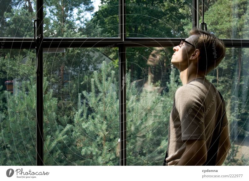 Am Fenster Lifestyle Wohlgefühl Zufriedenheit Erholung ruhig Häusliches Leben Traumhaus Mensch Junger Mann Jugendliche 18-30 Jahre Erwachsene Umwelt Natur