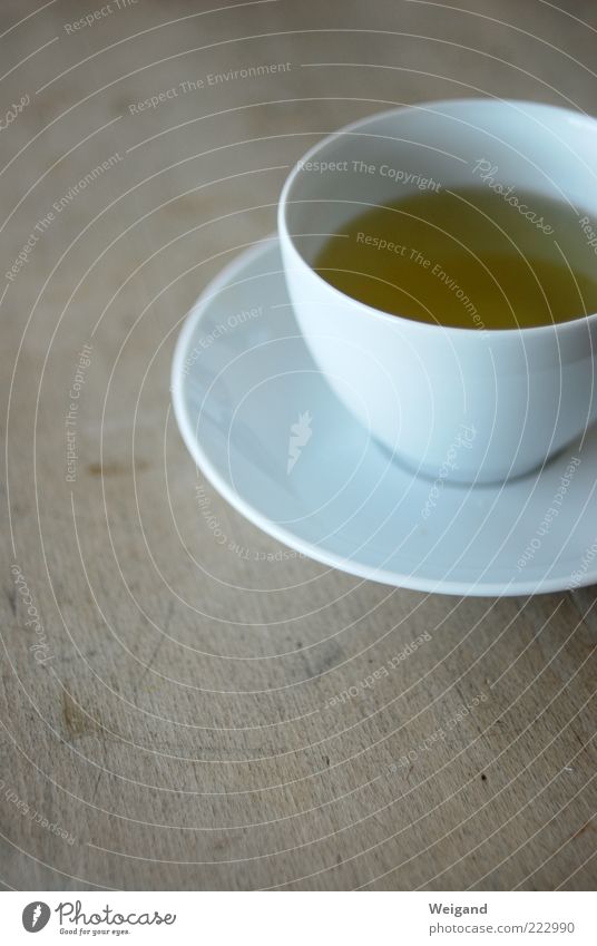 grün in weiß Lebensmittel Ernährung Bioprodukte Getränk trinken Tee Tasse braun ästhetisch Zufriedenheit einzigartig Nachmittag Teetrinken rein karg Grüner Tee