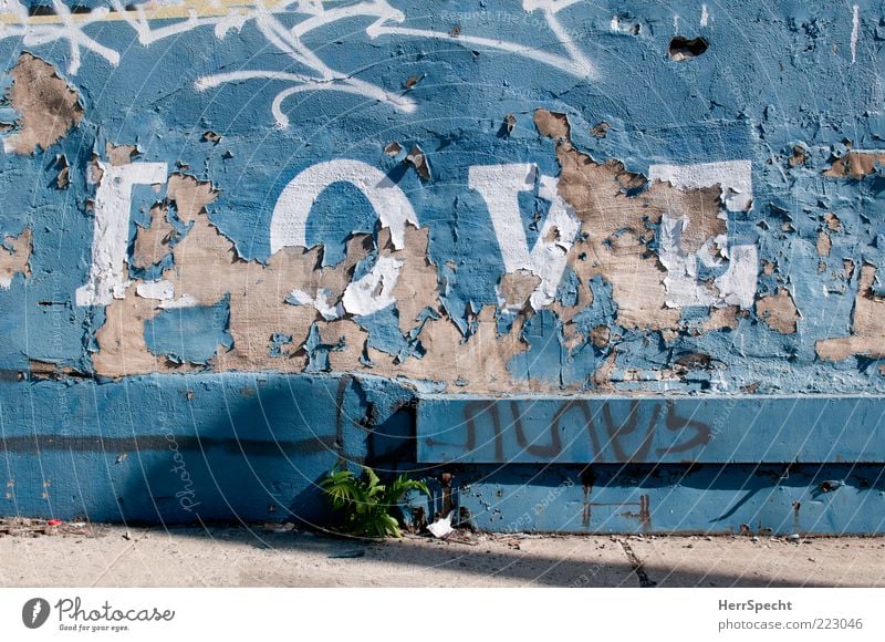 ...is all you need Stein Beton Schriftzeichen Graffiti alt trashig blau grau weiß Liebe abblättern Farbstoff Schwarzweißfoto Außenaufnahme Strukturen & Formen