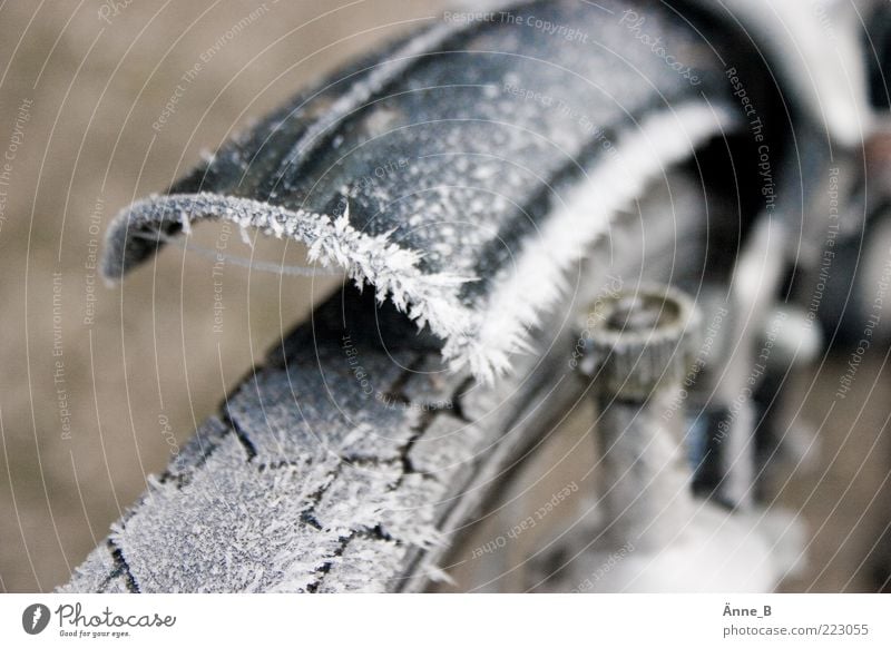 icecycle Winter Fahrrad Schutzblech Reifenprofil kalt stachelig Eis Frost Dynamo Bildausschnitt Anschnitt Raureif Eiskristall Rad Menschenleer Farbfoto