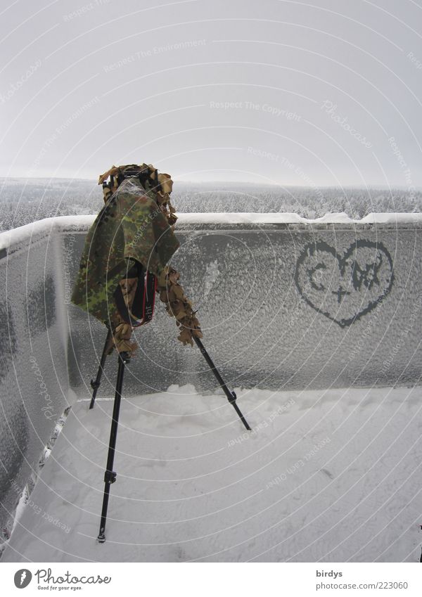 Love vs. frost Videokamera Fotokamera Natur Landschaft Winter Schnee Wald Turm beobachten hoch kalt Vorfreude Leidenschaft Liebe Romantik anstrengen Ferne