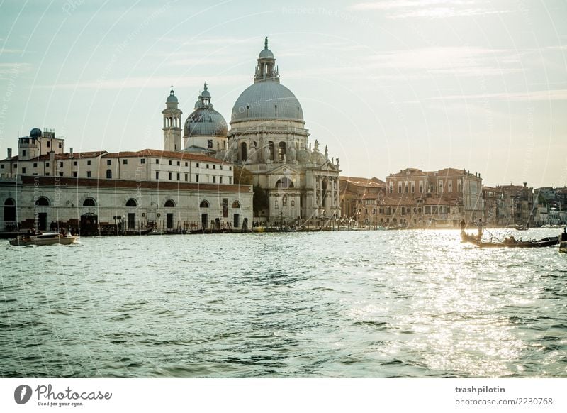 Venedig Ferien & Urlaub & Reisen Tourismus Ausflug Abenteuer Ferne Freiheit Sightseeing Städtereise Kreuzfahrt Sommer Sommerurlaub Sonne Italien Europa Stadt