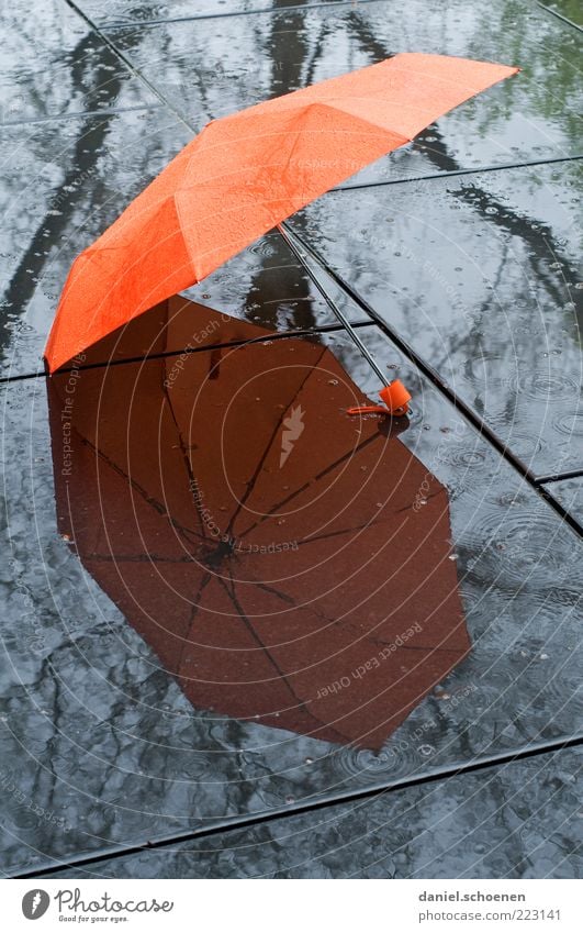 der Wetterbericht für heute Klima Klimawandel schlechtes Wetter Regen Schirm Regenschirm Reflexion & Spiegelung orange Boden liegen offen Menschenleer nass