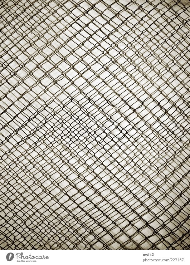 Netzwerk Kunst Metall ästhetisch außergewöhnlich dünn eckig einfach fest viele verrückt grau schwarz weiß Zusammenhalt Draht Maschendrahtzaun durcheinander