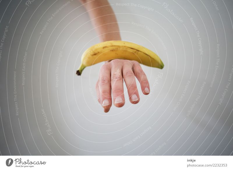 ausgewogene Ernährung 1 Banane Hand Gleichgewicht Farbfoto frisch außergewöhnlich Vor hellem Hintergrund Freisteller Textfreiraum reif liegen Nahaufnahme weiß