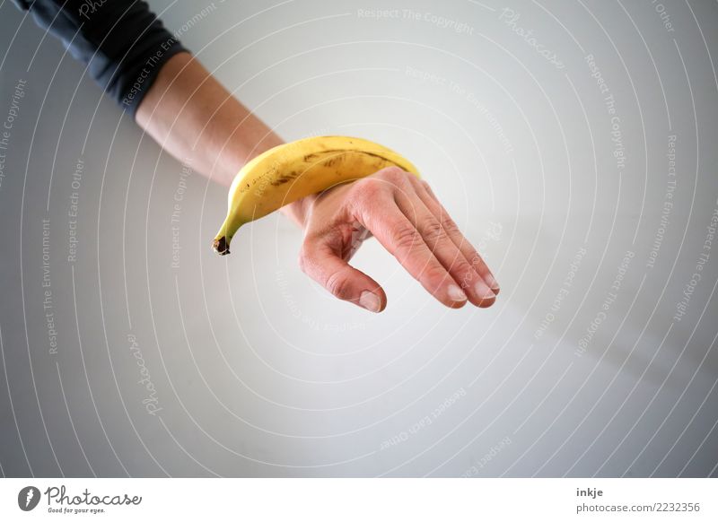 ausgewogene Ernährung 3 Frucht Banane Arme Hand 1 Mensch festhalten liegen außergewöhnlich frisch Gesundheit gelb Zufriedenheit reif Farbfoto Innenaufnahme
